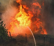 PORTUGAL FOREST FIRE