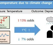 "역대급 폭염에 정신건강 흔들…기온 1도 오를때 우울감 13%↑"