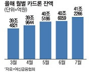 "가계대출 풍선효과 막아라" 금감원, 카드론 관리 강화