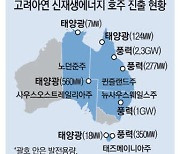 [단독] "최윤범이 일군 해외사업 찬물"…영풍 공격에 호주 여론 싸늘