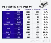 "中 배터리 썼다고? 안 사"…중국 연관 수입 전기차 판매량 급감