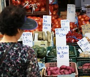 한우 내리고 배추 폭등… 울고 웃은 '추석 물가'