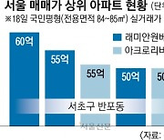 반포 국민평형 60억… 토허제 쓰자니 역효과 우려