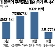 지역농협이 둔촌주공 대출···금감원 ‘풍선효과’ 경계령