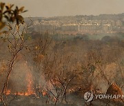 Brazil Forest Fires