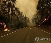 Portugal Wild Fires