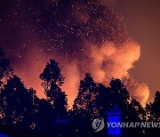 epaselect PORTUGAL FOREST FIRE