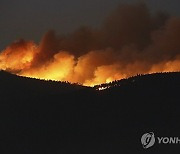 Portugal Wildfires