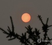 SPAIN PORTUGAL FOREST FIRES