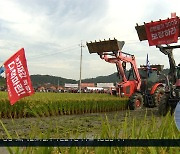 “자식 같은 벼 갈아엎는 마음 아시오?”... 쌀값 폭락에 성난 농심