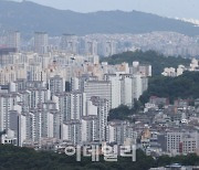 "너무 좁은 집 싫어" 임대주택 공실 절반이 10평 이하