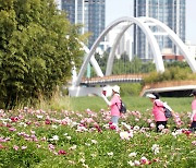 울산시, 태화강국가정원 안내도 제작·배부