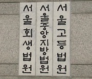 이루마 곡 무단변형한 악보집...법원 "배상하라"