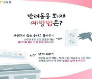 성산소방서, “반려동물이 화재 일으킬 수 있습니다”