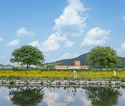 [Travel] 경남 합천 여행…강바람에 미련을 실어 보내는 일