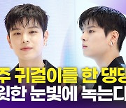 [영상] 스트레이 키즈 승민, '진주 귀걸이를 한 댕댕이'