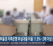 부울경 저축은행 부실대출 비율 11.8%…2배 이상 증가