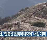 정선, ‘민둥산 은빛억새축제’ 내일 개막