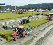 쌀값 폭락 비상…논 갈아엎기까지