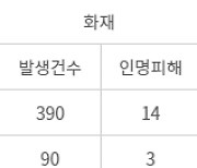 추석연휴 구급차 이송 20% 감소···벌집제거·뱀물림 사고는 크게 증가