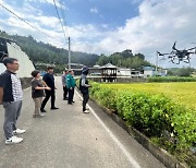 수확기 벼멸구 비상…산청군, 긴급 공동방제