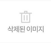 경찰, 린가드에 19만원 범칙금 부과