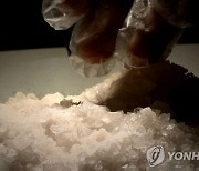 “선물 전달해 달라” 외국인 부탁받고 필로폰 운반…징역 6년