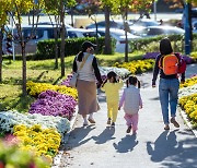 "가을을 부른다" 2024 속초 국화전 준비 본격 착수