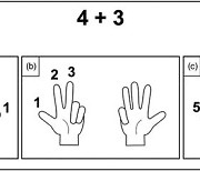 손가락 덧셈 훈련 도움 될까…"유치원생 계산 능력 향상 효과"