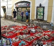 POLAND WEATHER FLOODS