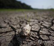 BRAZIL DROUGHT