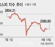 금리인하의 시간…韓 주식 장바구니에 뭘 담을까