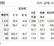 팬오션, 중장기 운임 상승 동력 부재에 아쉬운 배당성향…목표가↓-NH