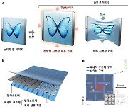 KAIST, 25% 늘려도 성능 유지 스트레처블 디스플레이 개발