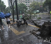 "버빙카 가고 폴라산 왔다"…중국 상하이 폭우 오렌지 경보