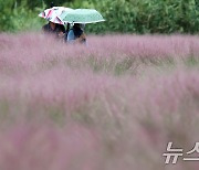 폭염 식힌 가을비