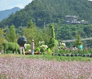 포천 '한탄강 가든 페스타'…수도권 최대 꽃 경관 명소 부상