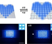 25% 늘어나도 화질 선명한 디스플레이를 만들었다