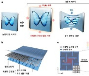 스트레처블 디스플레이, 25% 늘려도 그대로~