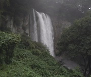 "어머, 이건 봐야 해" 한라산 400㎜ 폭우에 엉또폭포  터졌다