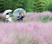 [포토타임] 폭염 식히는 가을비... 주말에는 폭우 예보