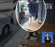 “3진 아웃 피해 보려”…‘친동생’ 행세했다가 적발