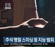 추석 명절 스미싱 등 지능 범죄 5배 증가