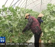 “전용 기숙사까지 줍니다”…고창군, 외국인 일손 모시기 안간힘