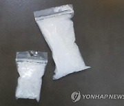 원룸 돌며 '마약 던지기'…20대 붙잡혀