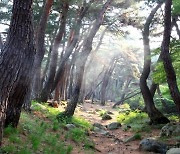 가을 정취 물씬 ‘꼭 걸어봐야할 국립공원 길’ 7곳 어디?