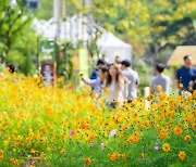 고양시, 꽃·예술·야경 담은 다양한 가을축제 개최