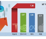 빅컷에 M7 온기 … 반대 베팅 개미는 곡소리