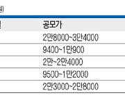 내달‘IPO 슈퍼위크’… 옥석 가리기는 기본