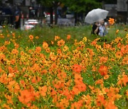 전국 흐리고 비…낮 최고 기온 26~31도